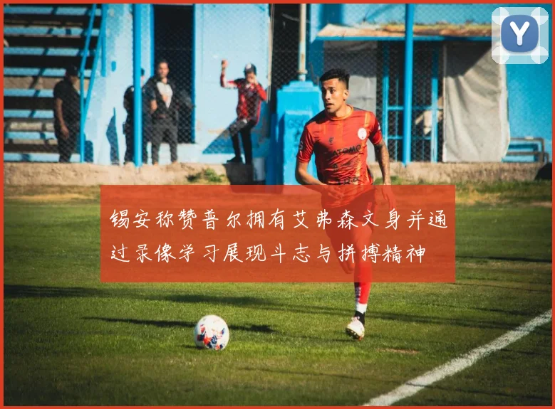 锡安称赞普尔拥有艾弗森文身并通过录像学习展现斗志与拼搏精神