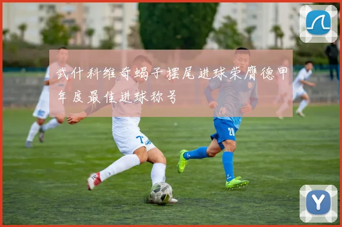 武什科维奇蝎子摆尾进球荣膺德甲年度最佳进球称号