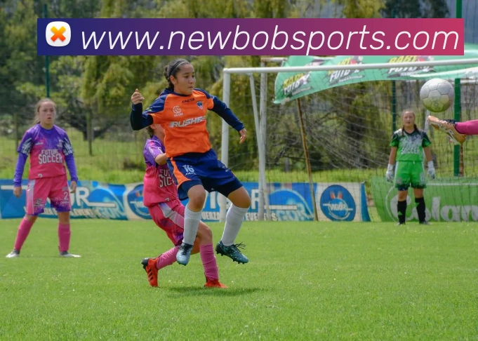 BOB体育服务体系